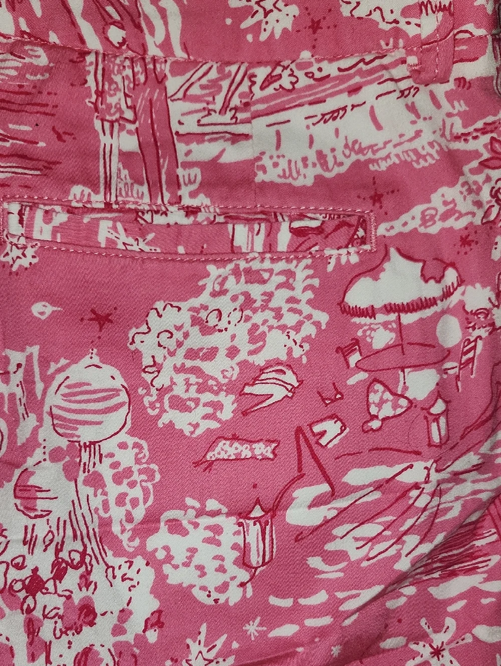Rare Lily Pulitzer Skinny Dip Pink & White Shorts 4 - Picture 6 of 8